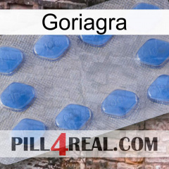 Goriagra 21